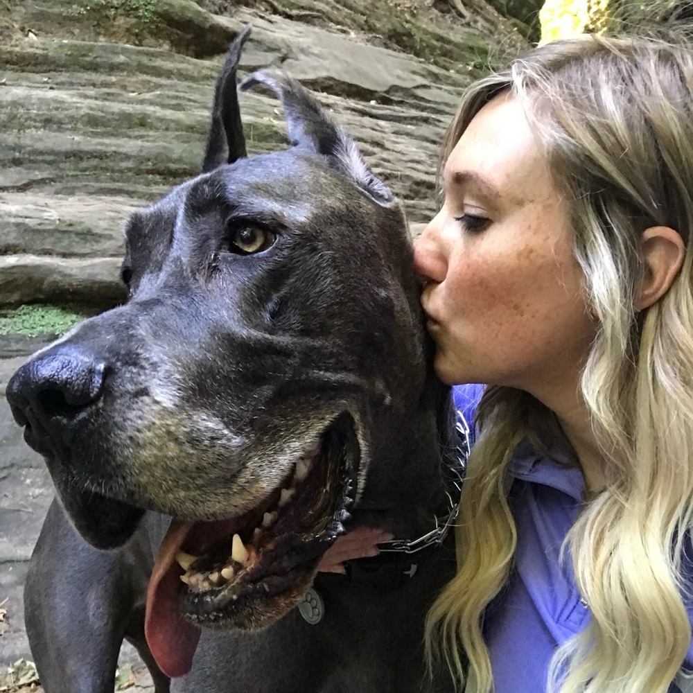 Meet your Posher, Morgan